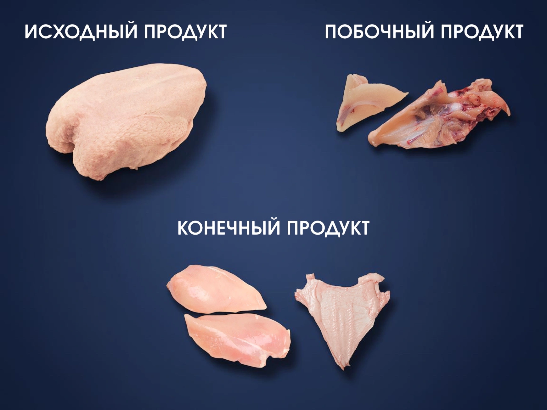 Автоматическая машина обвалки грудки для обвалки грудки птицы — изображение 2